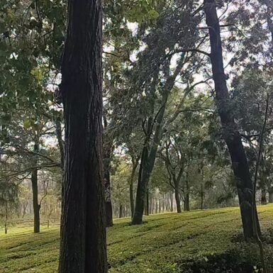 566030974_658233867114222_2730688941270955554_n