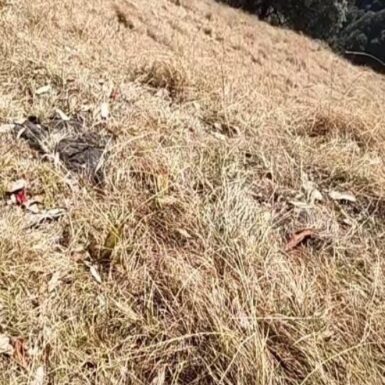 641469313_18099409205506816_1434076629712075517_n