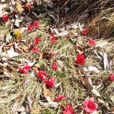 642294908_18099407219506816_5988314890044347882_n